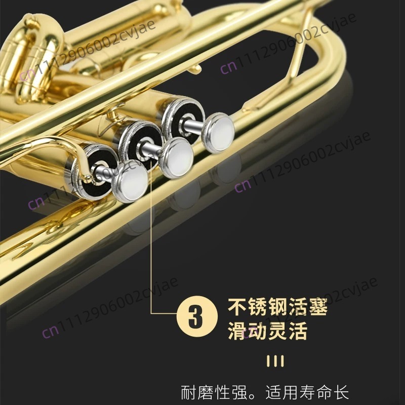 เหมาะสำหรับเครื่องดนตรีทรัมเป็ - Musical Instrument Band บทวิจารณ์และราคา